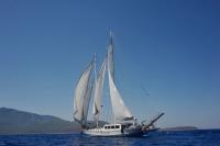 WHITE-SOUL yacht charter: WHITE SOUL - photo 7