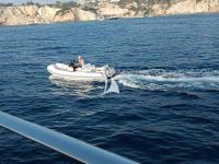 ASLEC-4 yacht charter: ASLEC 4 - photo 47